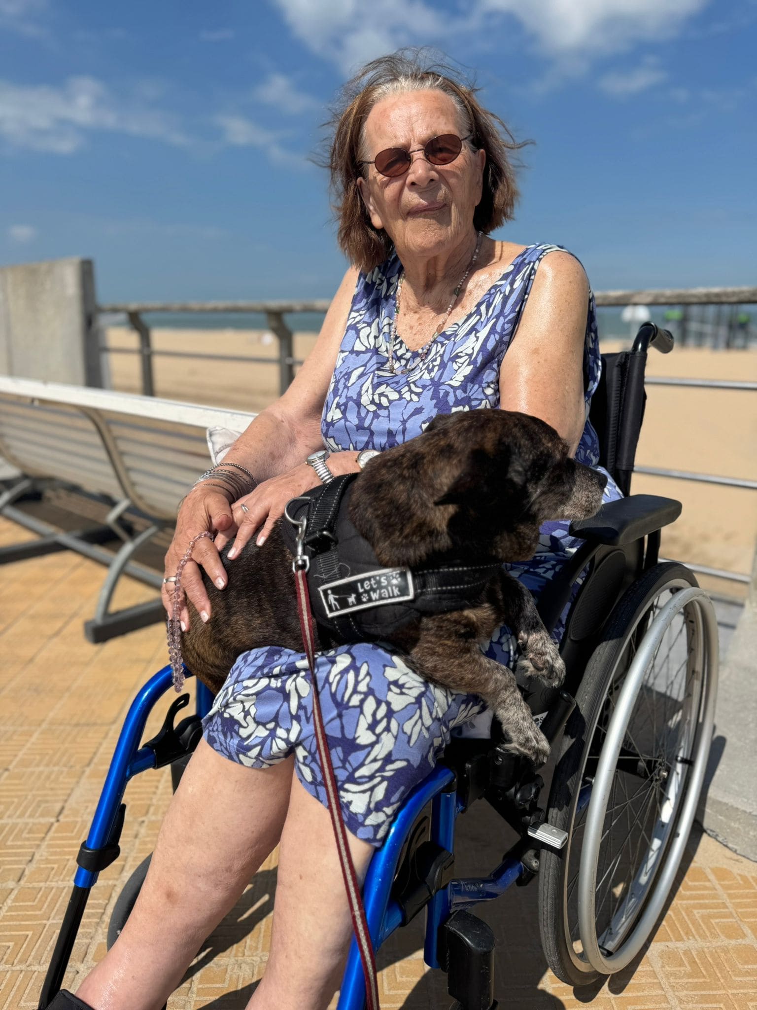 Voyage et accompagnement